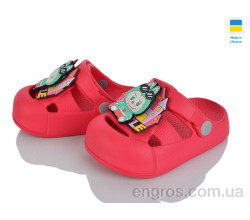 Кроксы Golden Lion